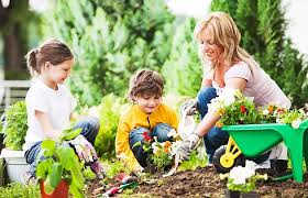 Ways To Prevent Back Pain While Gardening This Summer | AICA Conyers