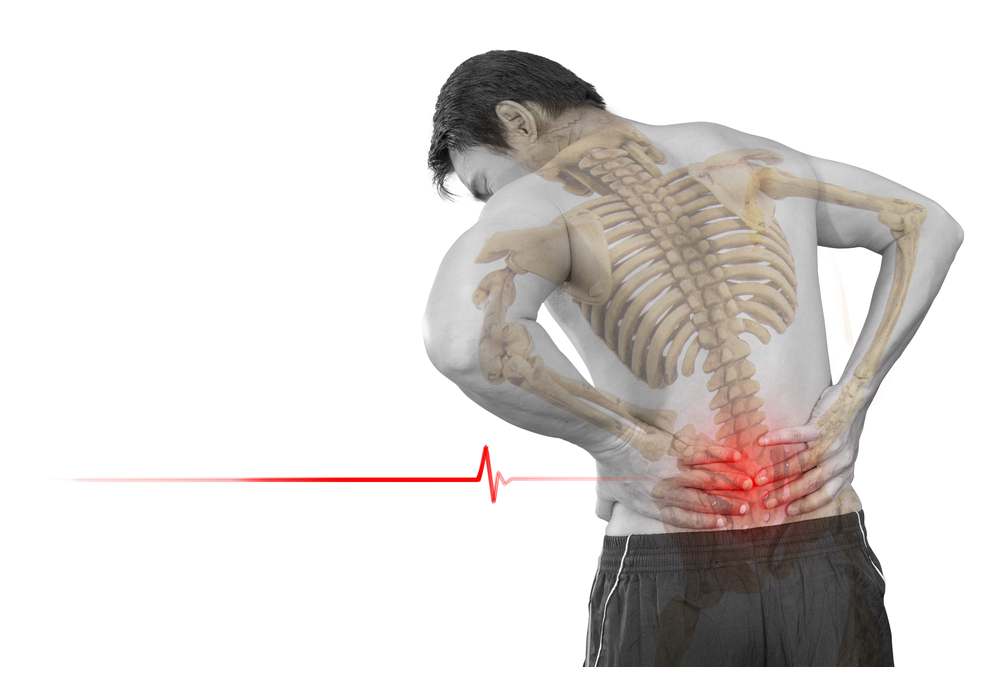 Exercises For Lower Back Pain Relief - North West Physiotherapy